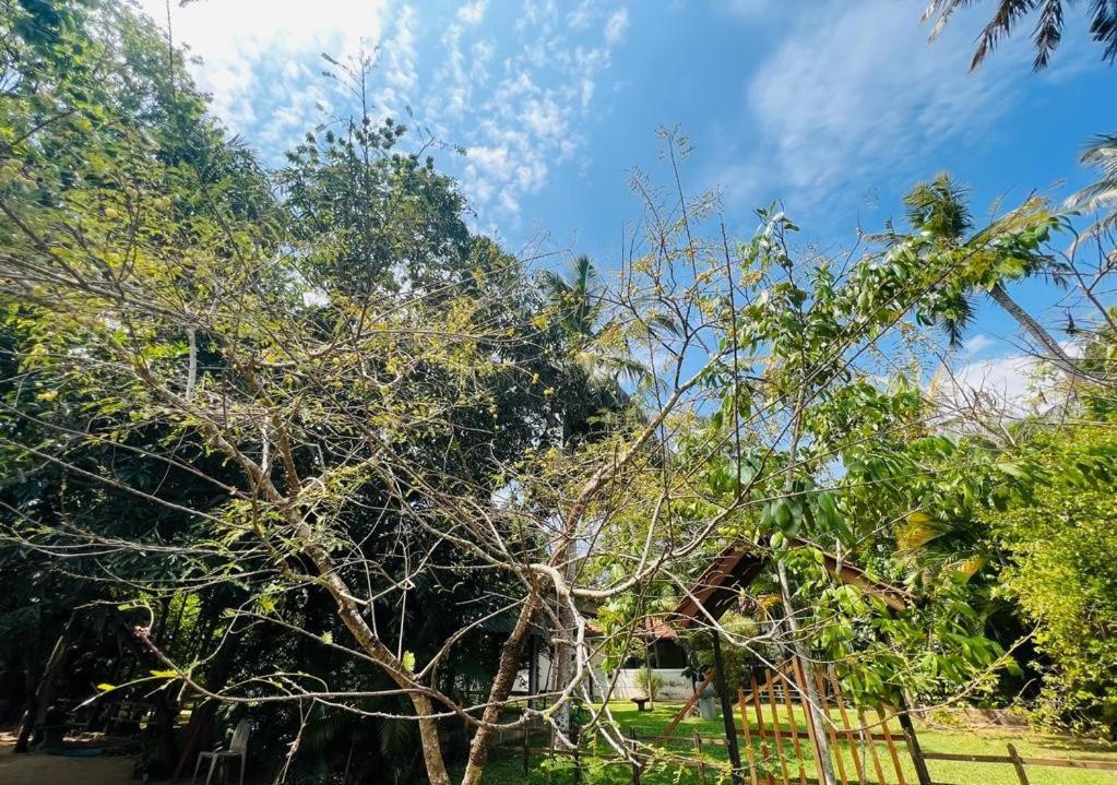 Krishan Villa Negombo Ngoại thất bức ảnh