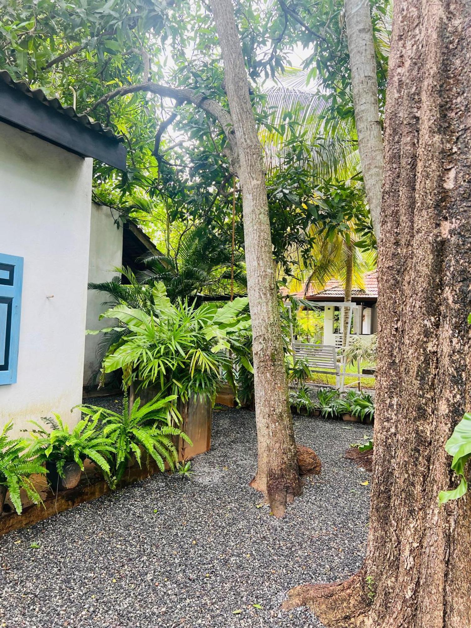 Krishan Villa Negombo Ngoại thất bức ảnh