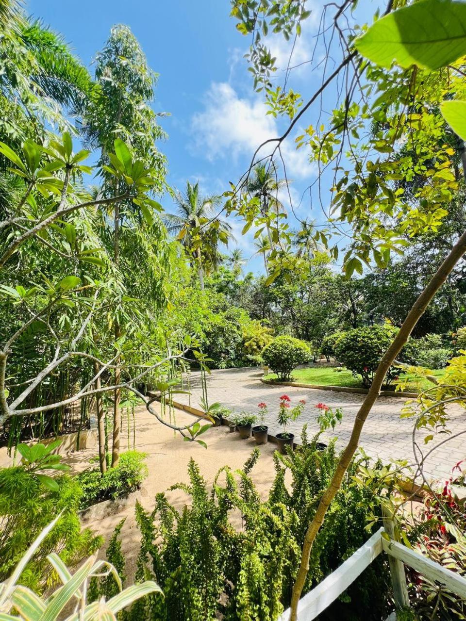 Krishan Villa Negombo Ngoại thất bức ảnh