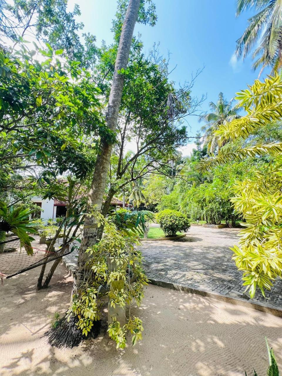 Krishan Villa Negombo Ngoại thất bức ảnh