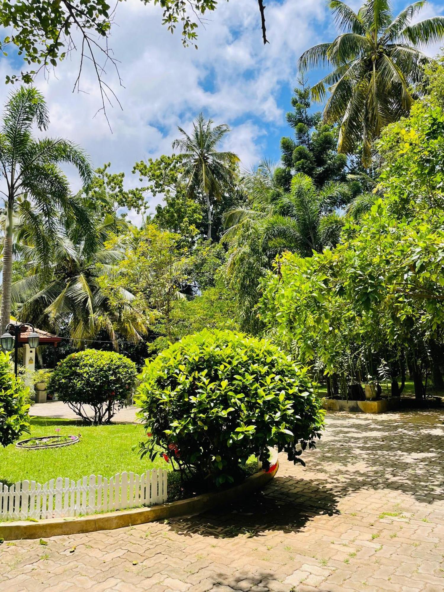Krishan Villa Negombo Ngoại thất bức ảnh